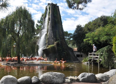 Flower Camping L'Abri-Côtier, 3* - 192