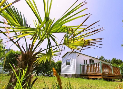 Camping de Montolieu, 3* - 12