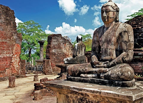 Circuit Le Sri Lanka, pays de l'Or Vert - 2