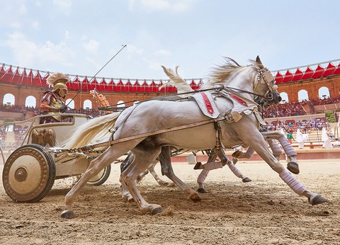 Puy du Fou - Hôtel La Citadelle - Hôtel+billet+petit-déjeuner - 9