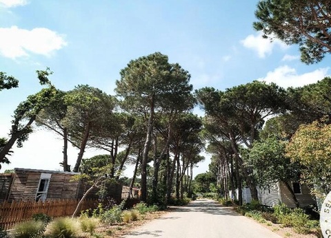 Camping Taxo les Pins, 4* - 21