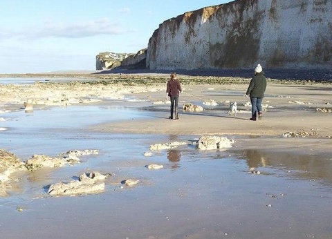 Camping Le Mont Joli Bois, 3* - 37