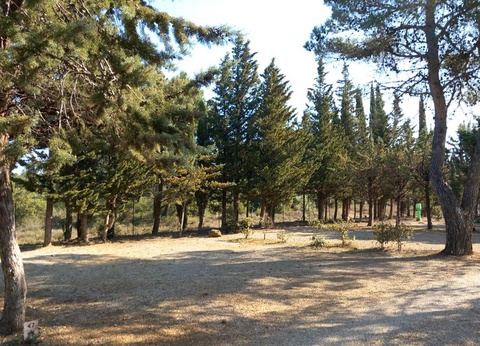 Camping Le Pinada, 3* - 22