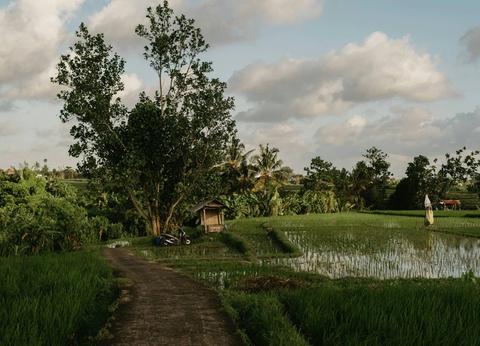 Circuit De la jungle d'Ubud aux vagues de Nusa Lembongan **** - 9