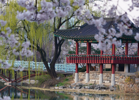 Circuit Aventures Coréennes, de Séoul à l'île de Jeju - 17