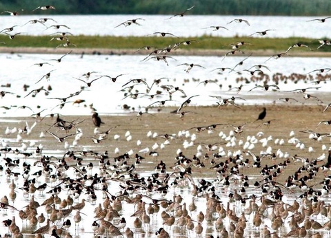 Camping Le Mont Joli Bois, 3* - 64