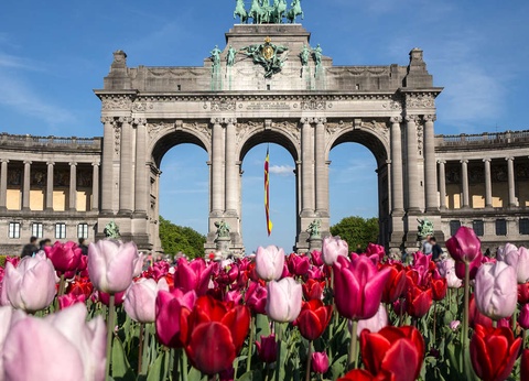 Séjour de luxe 5* dans le quartier Européen à Bruxelles - 5* - 16