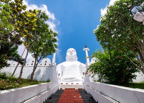 Circuit Sur la Route des temples Sri Lankais 3/4* - 7