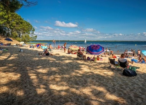 Camping L'Orée Du Bois, 4* - 51