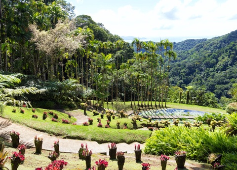 Autotour Trilogie créole en liberté - 6