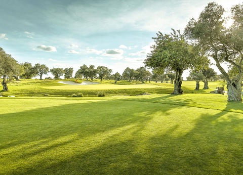 TUI Sélection Hôtel Robinson Quinta Da Ria - Choix flex **** - 27