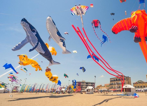 Camping La Falaise Narbonne Plage, 4* - 28