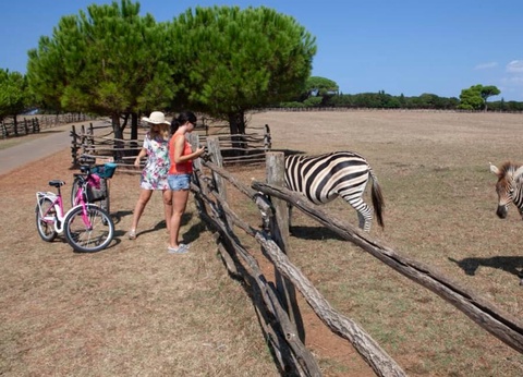 Camping Bi Village, 4* - 21