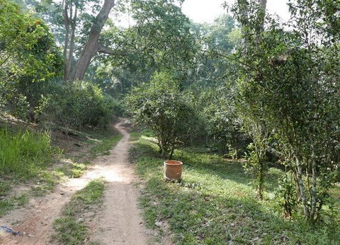 Yunnan intimiste - Chine - 28