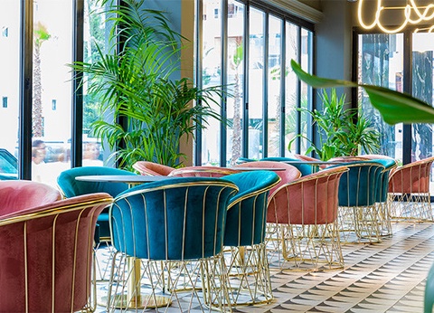 Club Framissima Bonita Luxury Resort 5* - 23