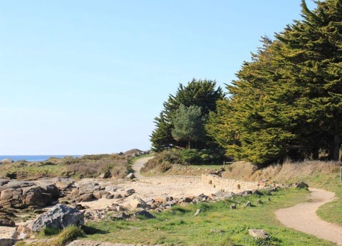 Flower Camping Domaine de Pendruc 4* - 35