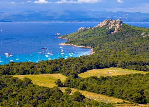 Camping Hameau des Pins 3* - 33