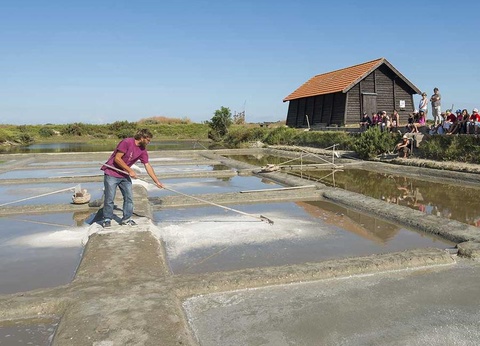 Domaine des Pins, 4* - 33