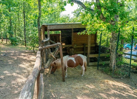 Orlando in Chianti Glamping Resort, 3* - 9