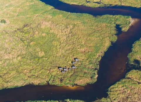 Immersion au Botswana & Extension Chutes Victoria 13J/10N - 2025 - 17