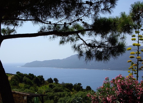 Résidence Alba Rossa (sans transport) - 5