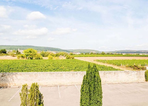 Séjour prolongé à Dijon (à partir de 2 nuits) - 3* - 4