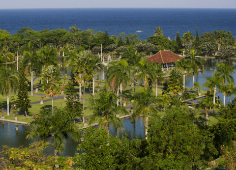 Circuit Balade Authentique du Volcan Ijen aux Rizières de Bali - 16