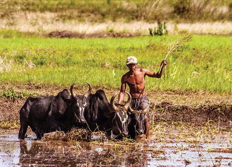 Circuit Merveilles de Madagascar - 3