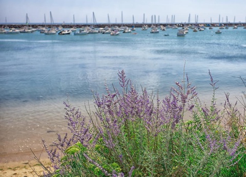 Camping Le Bosquet - 14