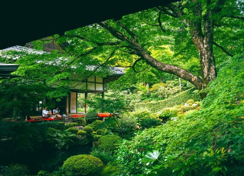 Aventure Japon : Circuit Individuel avec Universal & Warner Studios - 9