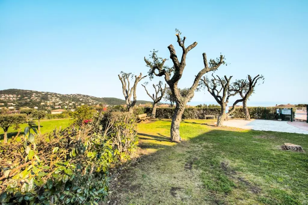 Résidence Maeva Particuliers Le Hameau des Issambres - 301