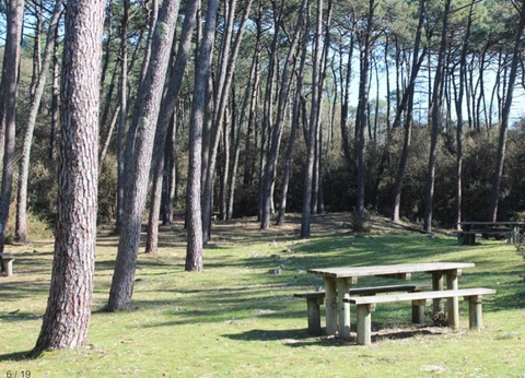 Camping Le Bosquet - 9
