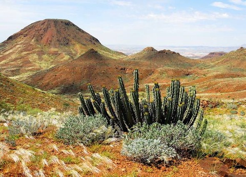 Aventure en Namibie et extension Fish River Canyon - 7