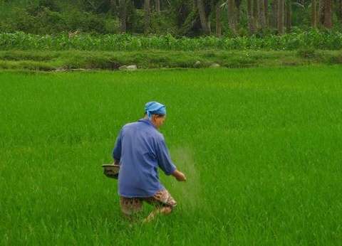 Tonkin Hors Sentiers - Vietnam - 12