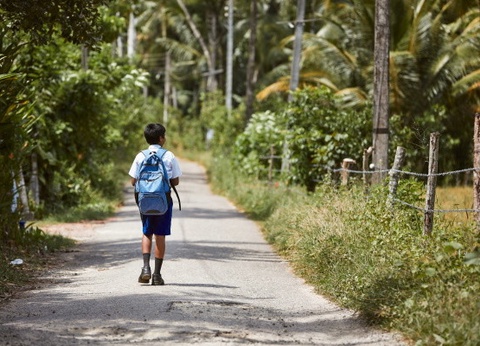 Circuit Splendeurs Insolites de Ceylan - 5