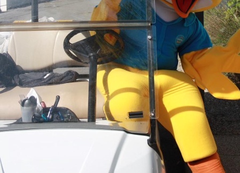 Camping Paradis Au port de l'houmeau, 4* - 14