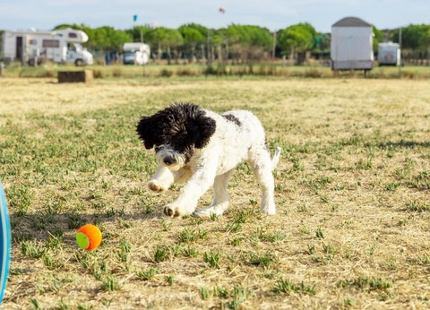 Gitavillage Club degli Amici - 15