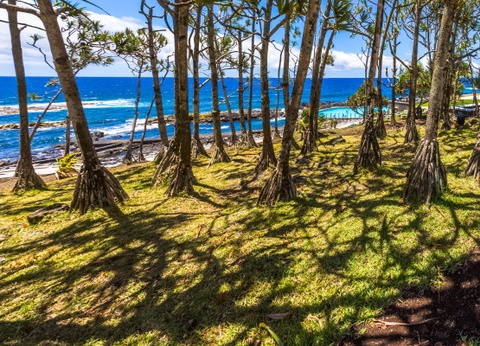 Circuit Couleurs de La Réunion - 5
