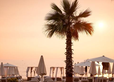 Ôclub Zen Royal G Max 5* - 13