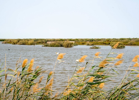 Combiné croisière et hôtel À Bord du Bou El Mogdad, au coeur du Sénégal authentique - 13
