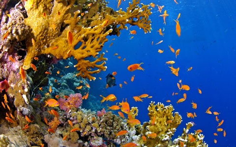 Circuit L'Egypte Authentique et Mer Rouge - 3