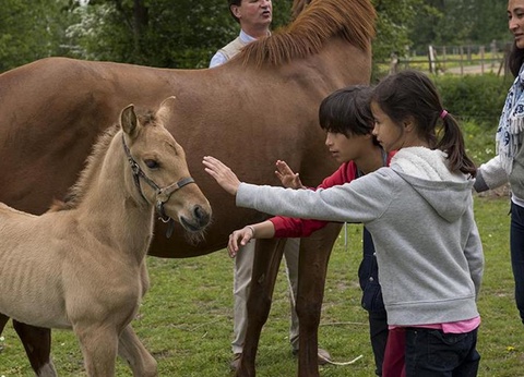 Camping Domaine du Lieu Dieu - 23