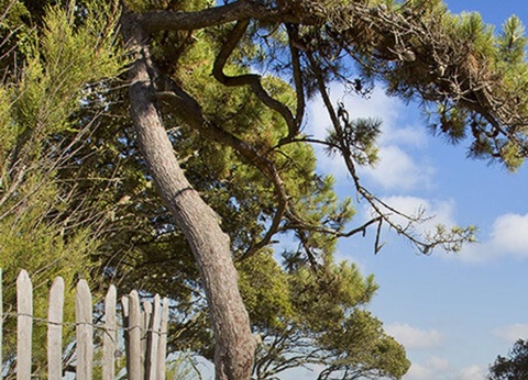 Camping La Tamarissière, 4* - 9