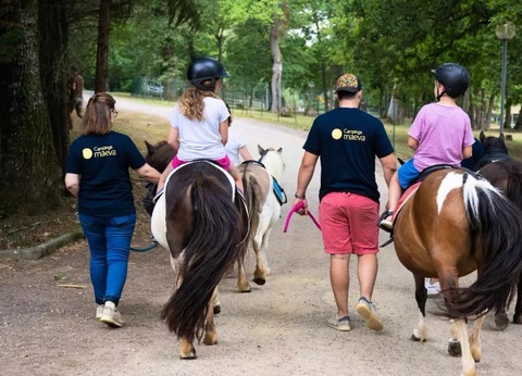 Camping Les Lacs d'Armagnac, 4* - 15
