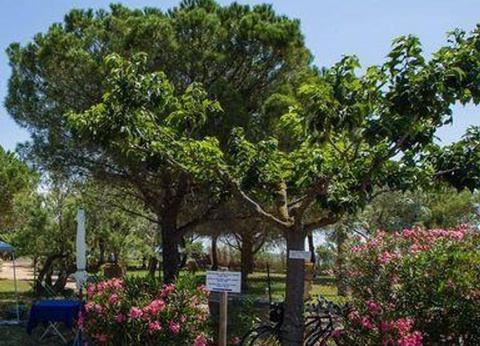 Camping Beau Rivage 4* - 48