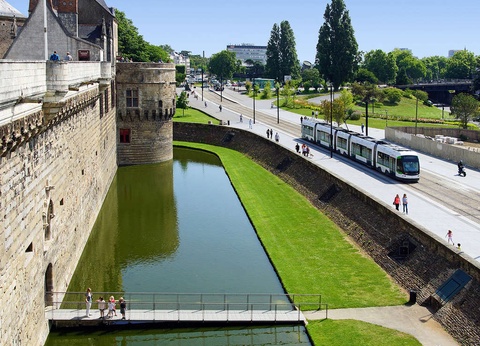 Tour du monde animalier en famille - 4* - 13