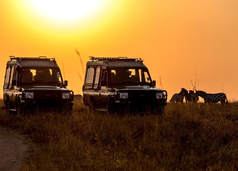 Safari Féeries d'Afrique - 9