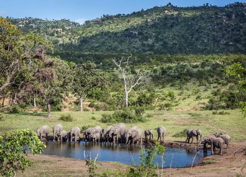 Chroniques d'Afrique Australe - Afrique du Sud, Zimbabwe, Eswatini - 17