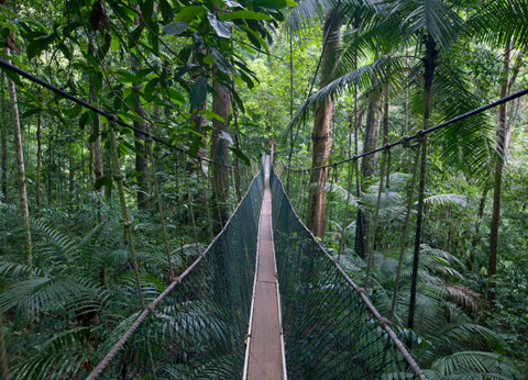Malaisie en Liberté, Sur les Terres Sauvages de Taman Negara 3* - 17