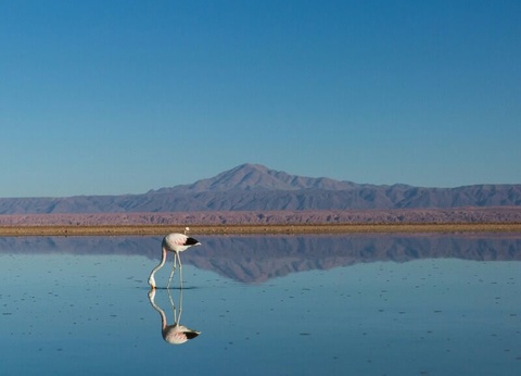 Circuit Xperience Chili - 3